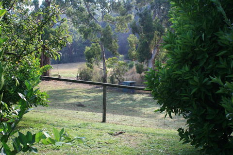 Strathmore Farm B&B - Port Augusta Accommodation 30