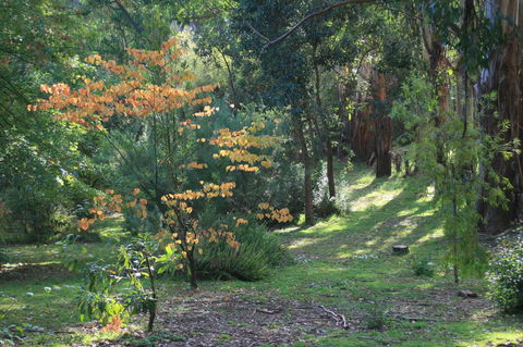 Strathmore Farm B&B - Port Augusta Accommodation 25