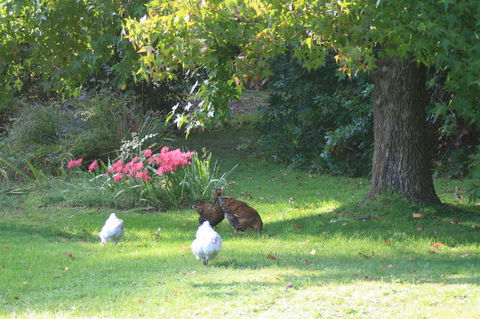 Strathmore Farm B&B - Port Augusta Accommodation 23