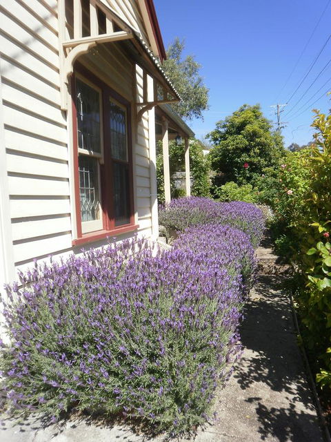 Miss Pym's Cottage - Port Augusta Accommodation 44