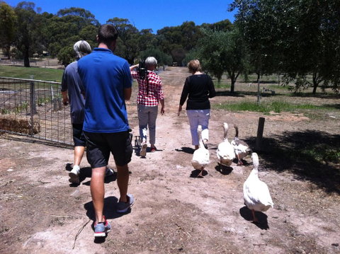 The Farm Willunga - Port Augusta Accommodation 1