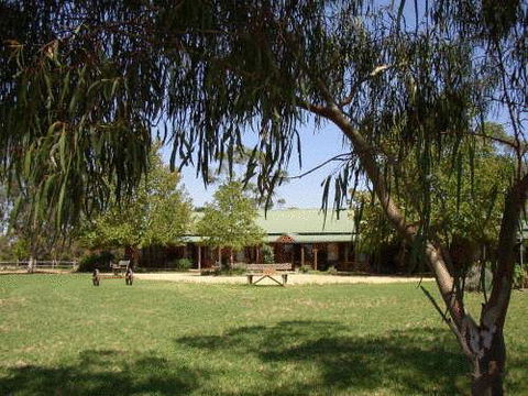 The Vineyard Motel - Port Augusta Accommodation 0