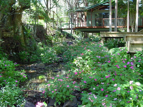 Treetops Montville - Port Augusta Accommodation 0