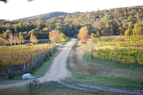 Twisted Gum Vineyard Cottage - Port Augusta Accommodation 1