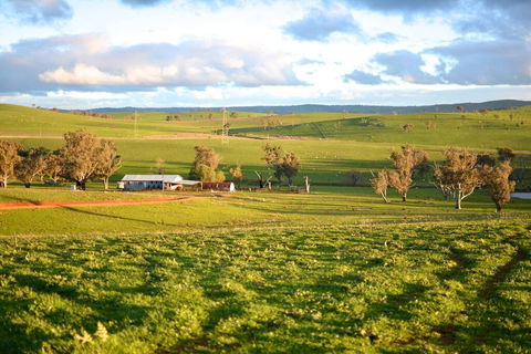 Wantana Cottage Farmstay - Port Augusta Accommodation 0