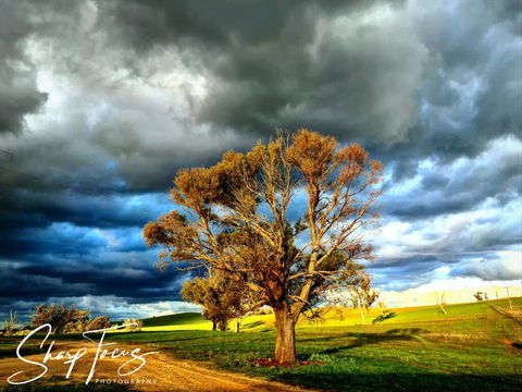 Wantana Cottage Farmstay - Port Augusta Accommodation 2