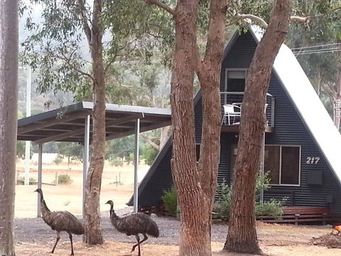 The A-Frame - Port Augusta Accommodation 9