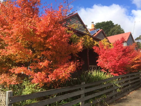 Chestnut Daylesford - Port Augusta Accommodation 13