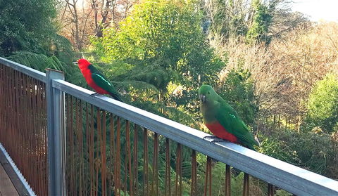 Beautiful View House - Port Augusta Accommodation 11