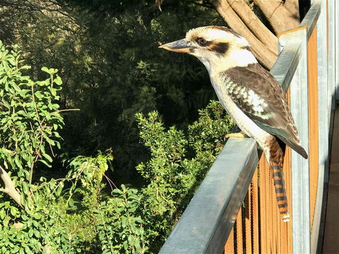 Beautiful View House - Port Augusta Accommodation 12