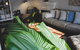Bed Of Roses - thumb 29