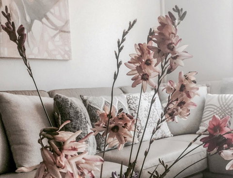 Bed Of Roses - Port Augusta Accommodation 0