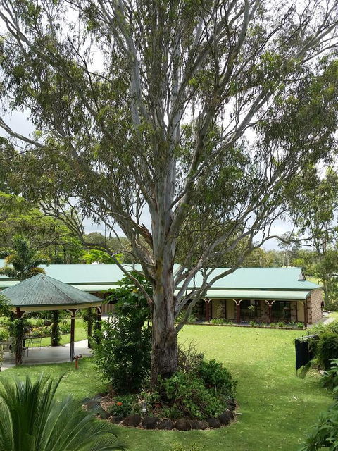The Bearded Dragon Boutique Hotel - Port Augusta Accommodation 32