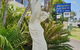 Alexandra Park Motor Inn - thumb 0