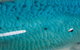 Kirra Surf Apartments - thumb 9