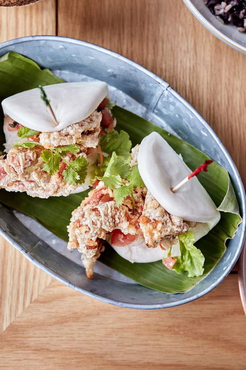 Novotel Cairns Oasis Resort - Port Augusta Accommodation 22