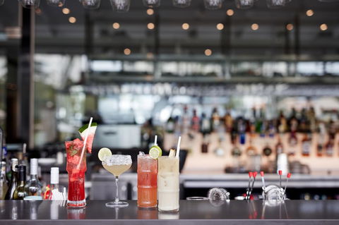 Novotel Cairns Oasis Resort - Port Augusta Accommodation 21