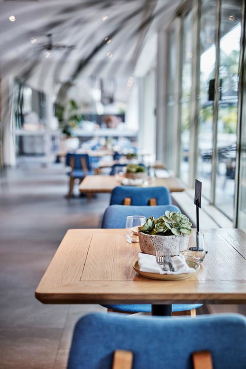 Novotel Cairns Oasis Resort - Port Augusta Accommodation 19