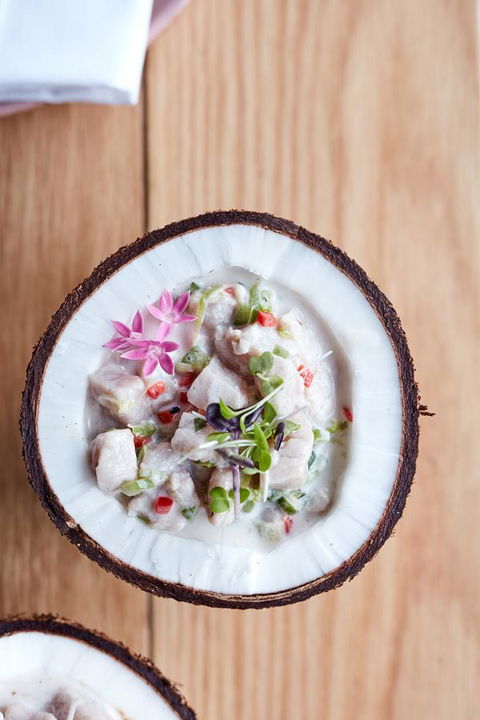 Novotel Cairns Oasis Resort - Port Augusta Accommodation 15