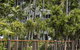 Daydream Island Resort - thumb 21