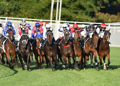 Best Western Airport 85 Motel - Port Augusta Accommodation 10