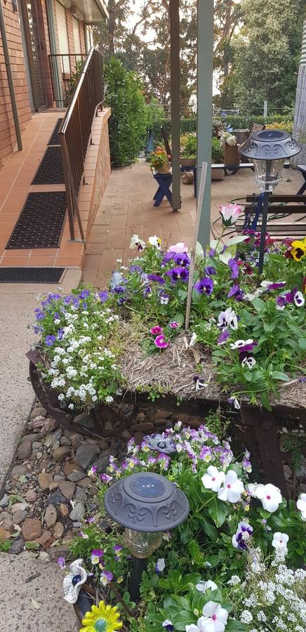 Manitzky Magic -B&B Home With Heart - Port Augusta Accommodation 8
