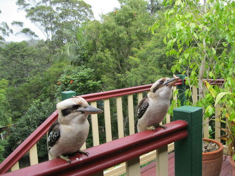 Shasta Place - Port Augusta Accommodation 12