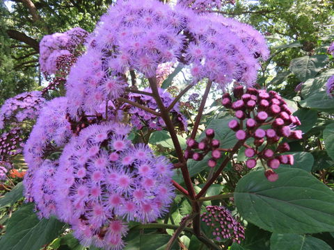 Shasta Place - Port Augusta Accommodation 8