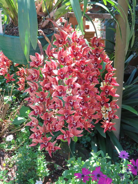 Shasta Place - Port Augusta Accommodation 9