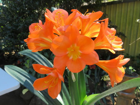 Shasta Place - Port Augusta Accommodation 10