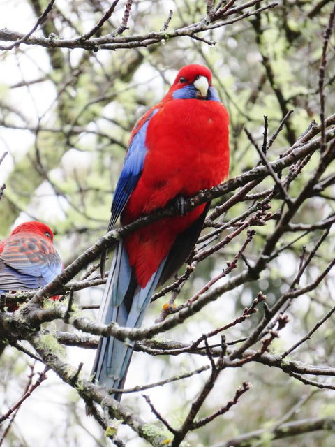 Shasta Place - Port Augusta Accommodation 13