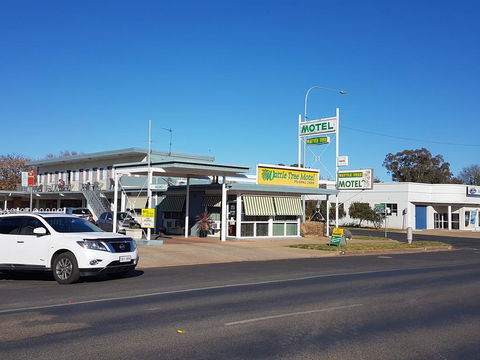 Wattle Tree Motel - Port Augusta Accommodation 0