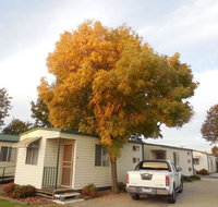 Wodonga Caravan  Cabin Park - Port Augusta Accommodation