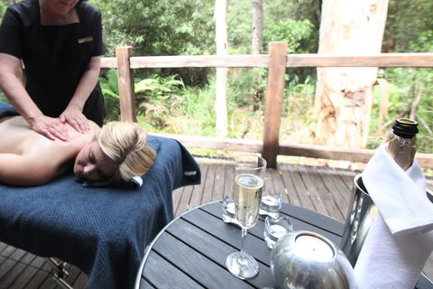 Woodlands Rainforest Retreat - Port Augusta Accommodation 3