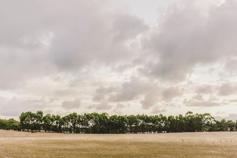 Yallingup Lodge Spa Retreat - Port Augusta Accommodation 0