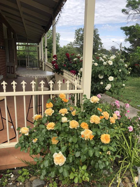 Zen Garde - Port Augusta Accommodation 1
