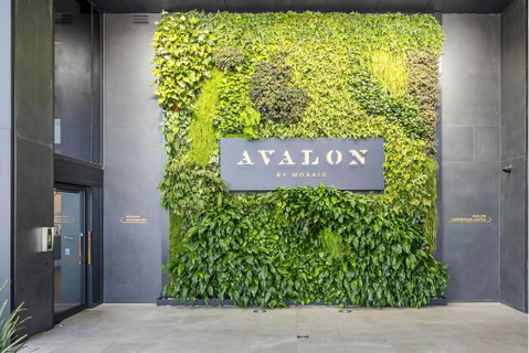 Avalon Resort Maroochydore - Port Augusta Accommodation 2