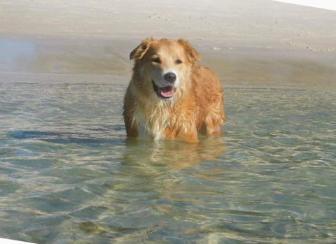 Away Nelson Bay, 29 Wollomi Ave - Spacious Family Home With Water Views, Pet Friendly, Wifi & Aircon - Port Augusta Accommodation 2