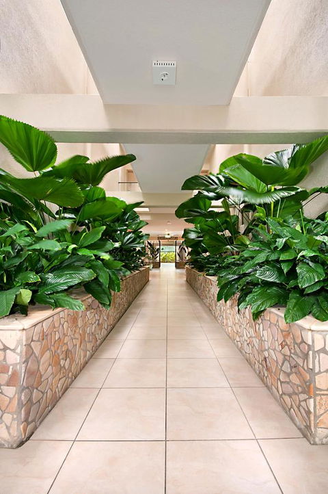 Shantara Resort Port Douglas - Adults Only Retreat - Port Augusta Accommodation 27