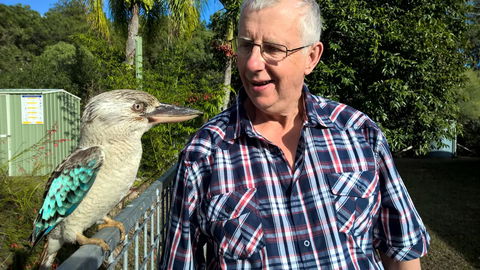 Magnetic Island Bed And Breakfast - Port Augusta Accommodation 33