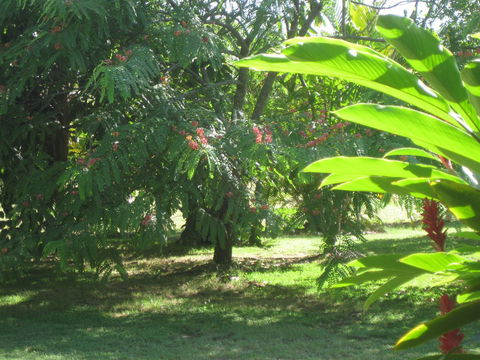 Magnetic Island Bed And Breakfast - Port Augusta Accommodation 36