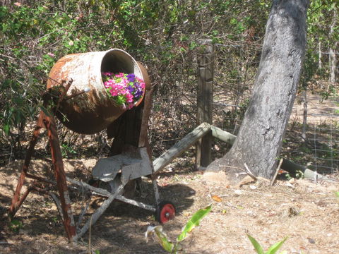Magnetic Island Bed And Breakfast - Port Augusta Accommodation 32