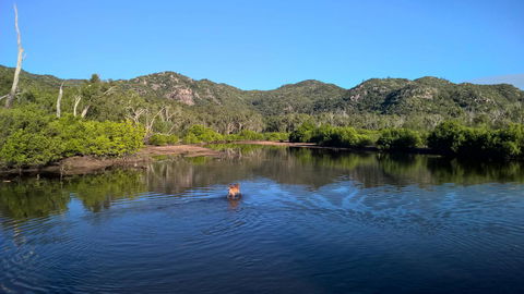 Magnetic Island Bed And Breakfast - Port Augusta Accommodation 8