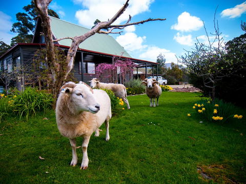 Parnella Adventure Bay, Bruny Island - Port Augusta Accommodation 19