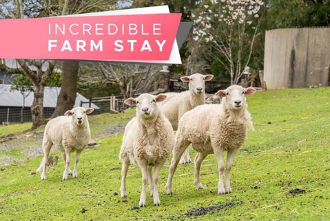 Carawatha On The Range - Unique Farm Stay - Port Augusta Accommodation 0