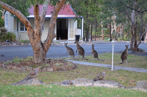 31 The Rocks - Port Augusta Accommodation 0