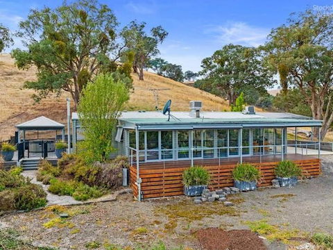 Golden Ash Grove Eco Farm - Port Augusta Accommodation 0