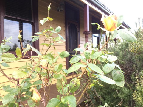 Albion Cottage - Port Augusta Accommodation 0