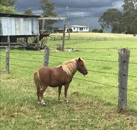 AMs Farm Stay - Port Augusta Accommodation