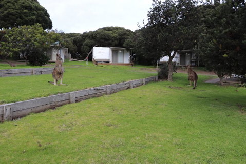 Anglesea Family Caravan Park - Port Augusta Accommodation 3